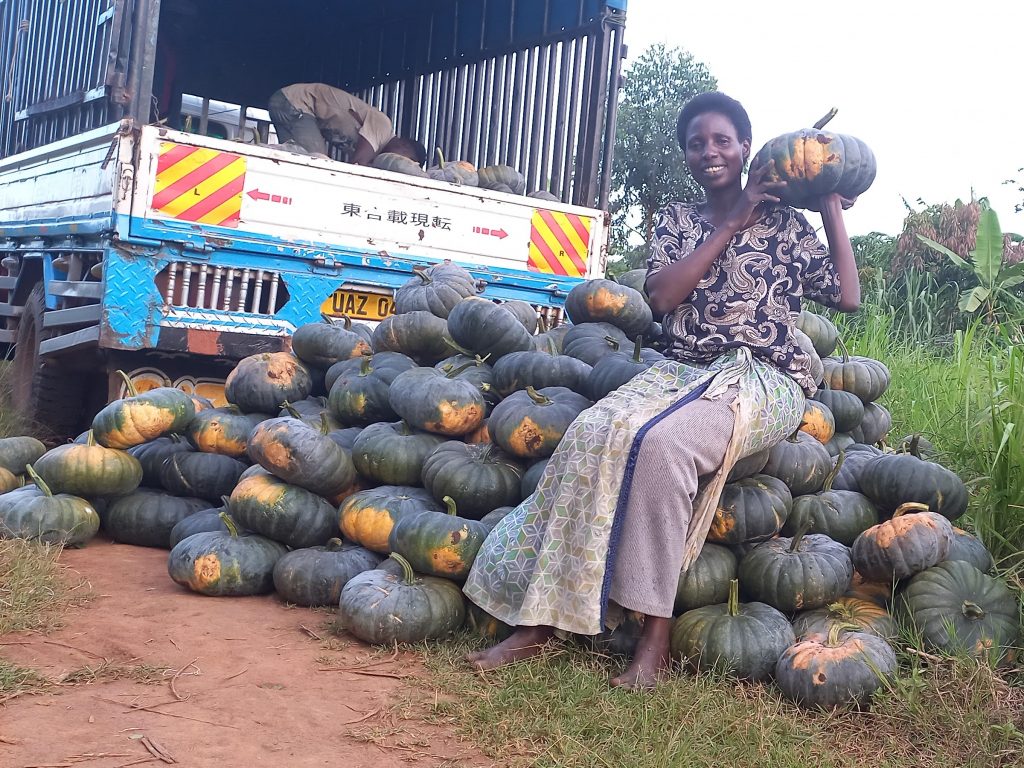 Female farmer in Uganda sits on a large pile of pumpkins as a man loads the pumpkins onto a truck in the background.