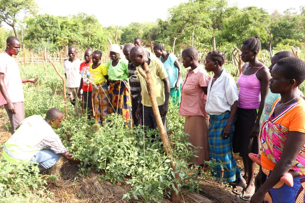 Young women and men watch as an EWS-KT staff member demonstrates fertilization techniques.