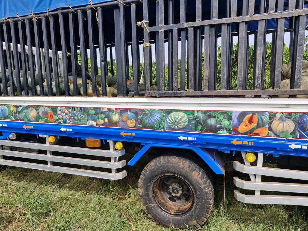 Trader Kakoza Dirisa's vegetable transport truck, which is decorated with images of pumpkins.