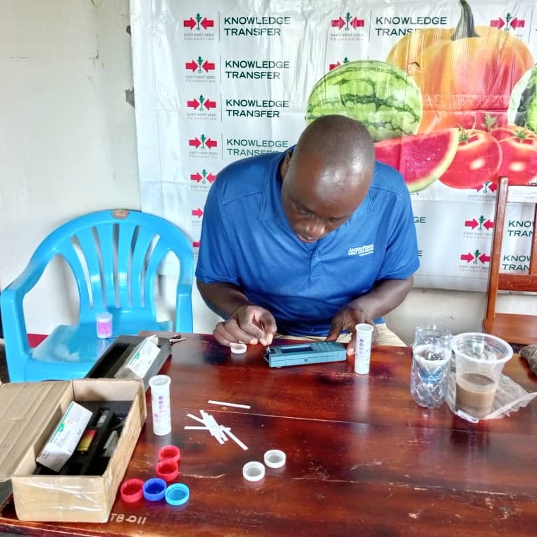 Staff member checks nitrate levels during the green manure action research in Uganda