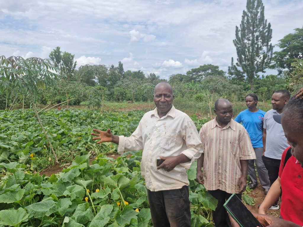 Jjungwe Village Chairman Saul Kabuza talks to visitors in his pumpkin field.