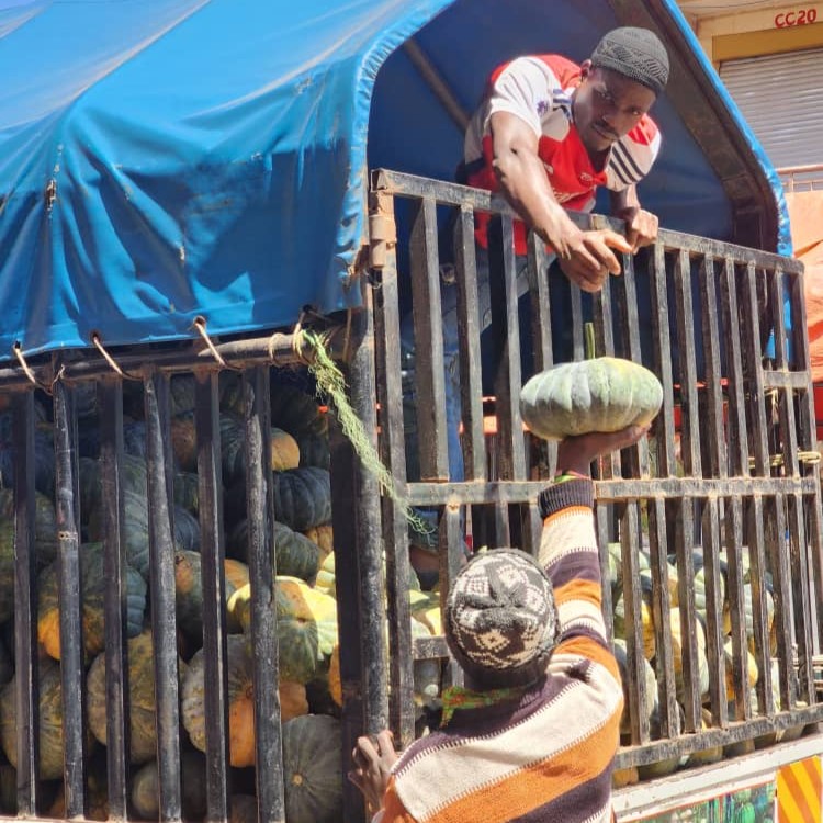 Man passing a pumpkin from the back of a truck to a person on the ground.