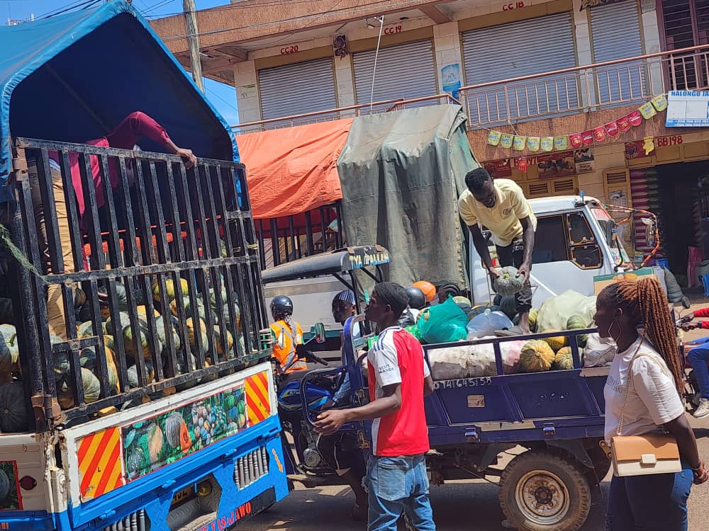 Next to the large pumpkin truck from Mityana, a local trader places one of the pumpkins in his small truck.