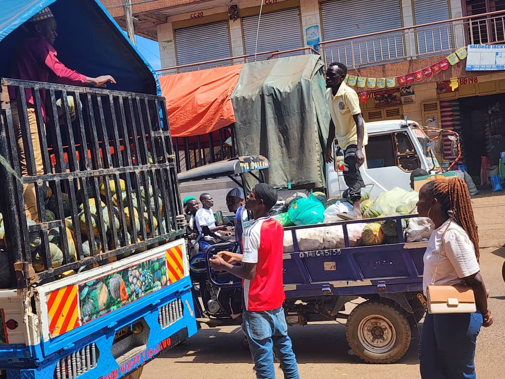 Having parked his small truck next to the large pumpkin truck from Mityana, a local trader waits for the next pumpkin to be unloaded.