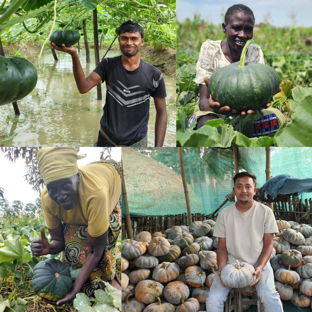 Collage of pumpkin farmers.