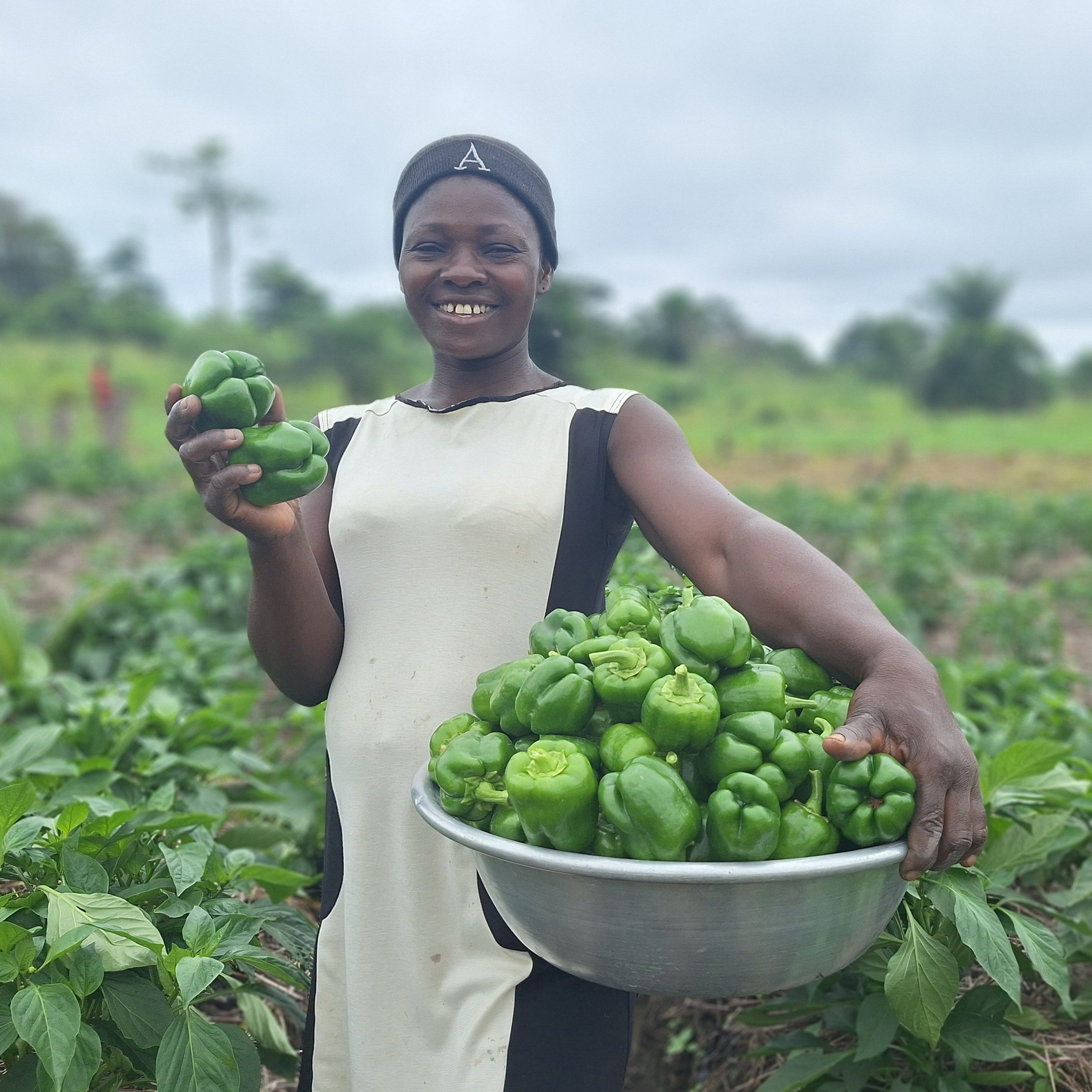 Female farmer with basket full of peppers.