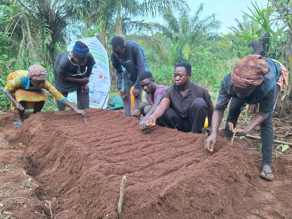 Farmers plant seeds in a raised bed.