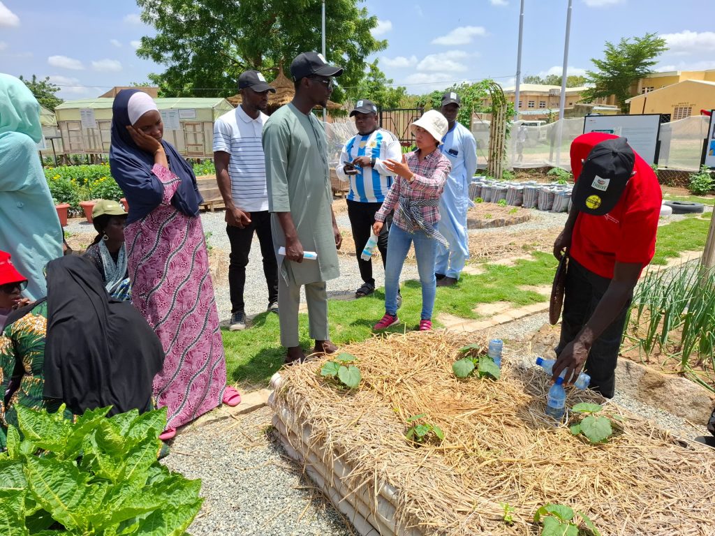 At the Sa'adatu Rimi College of Education learning farm Field Day event.
