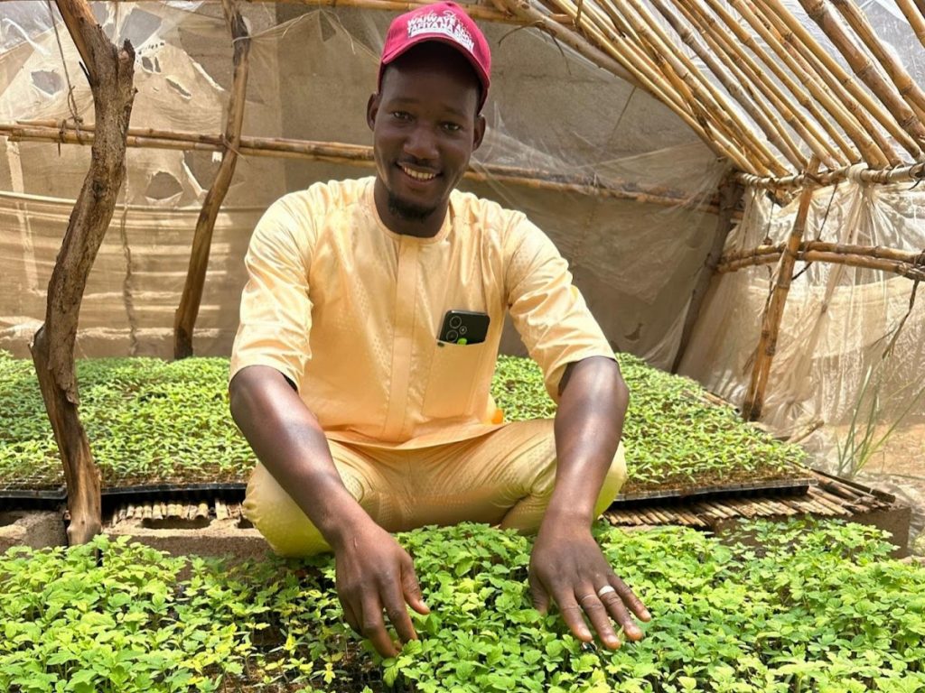 Young farmer Bashir Abdu with some of the seedlings he is raising to be sold.