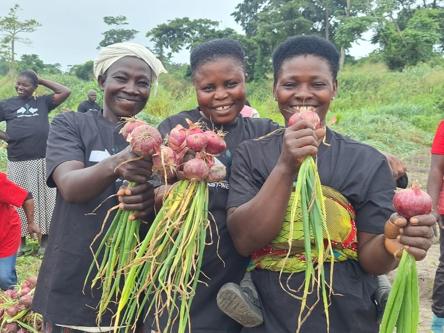 Three female farmers with harvested onions.
