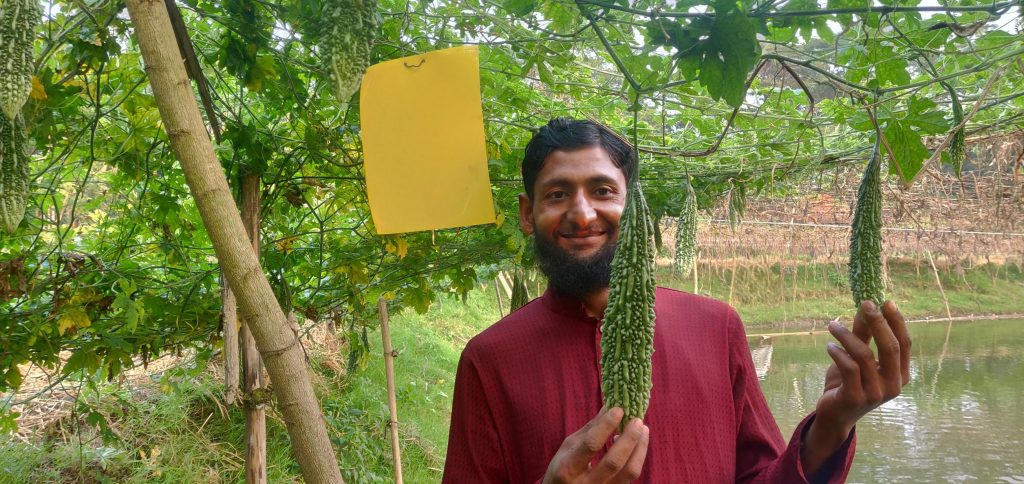 Md. Babul beneath a row of bitter gourd.