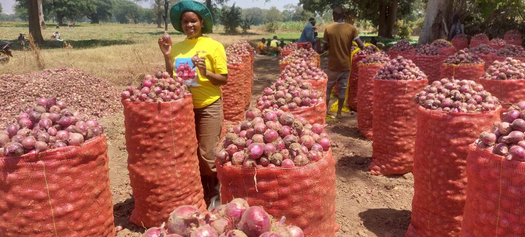 Woman with large sacks of red onions.