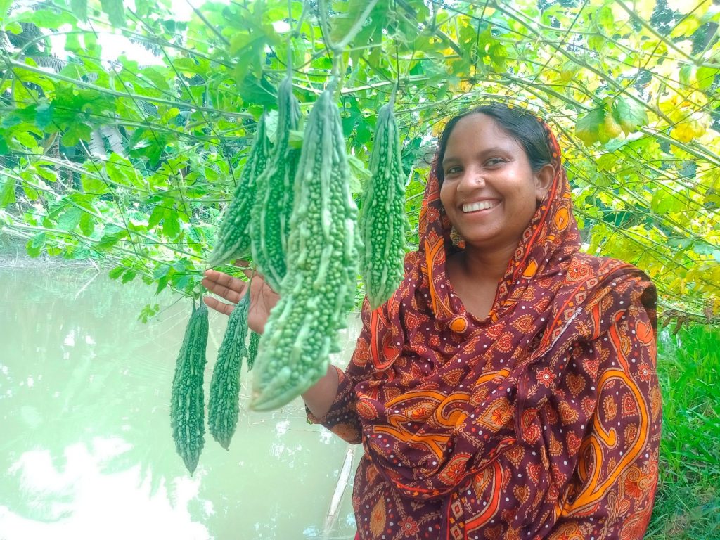 Farmer Asma Akter with bitter gourd fruits hanging from an overhead trellis.