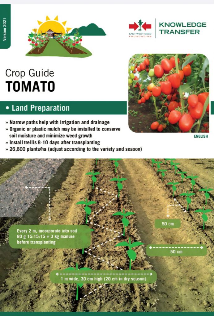 Tomato crop guide in English from East-West Seed Knowledge Transfer Foundation.