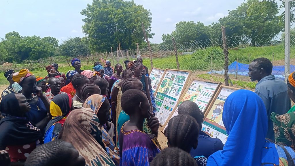 Crowd of Field Day participants are guided through informational posters at the learning farm in Bor, South Sudan.