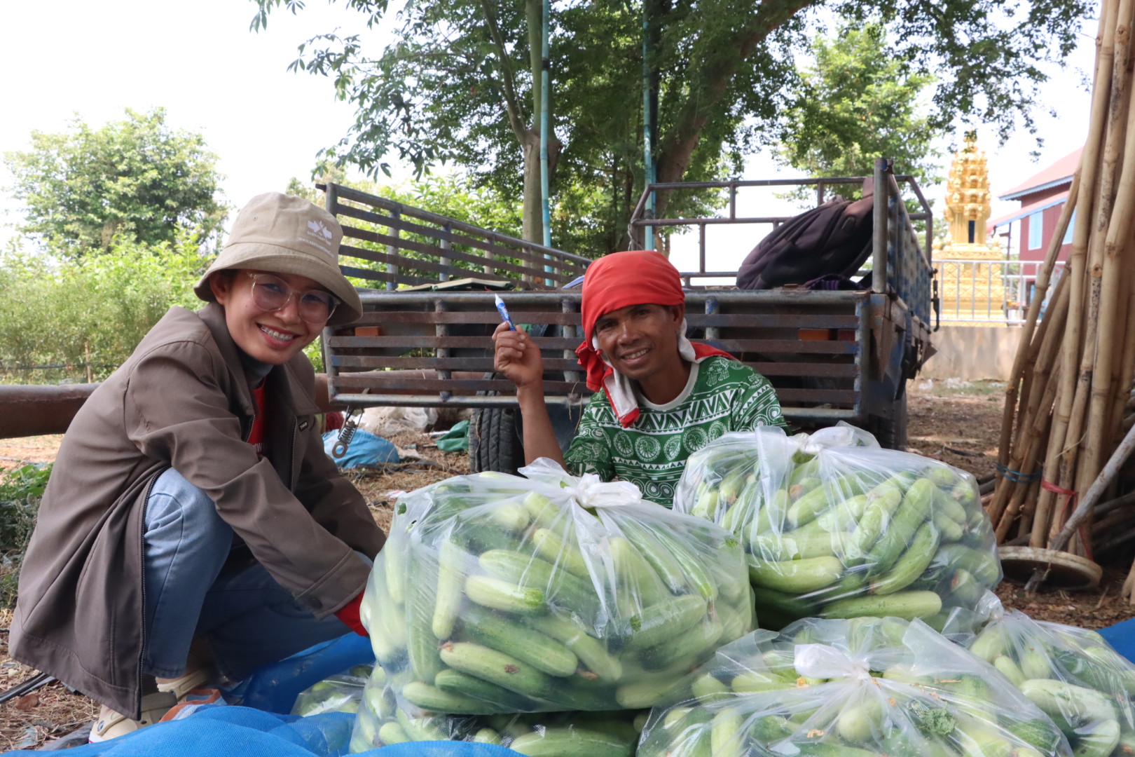 Woman and man with multiple large bags of cucumbers packed for transport in Cambodia.