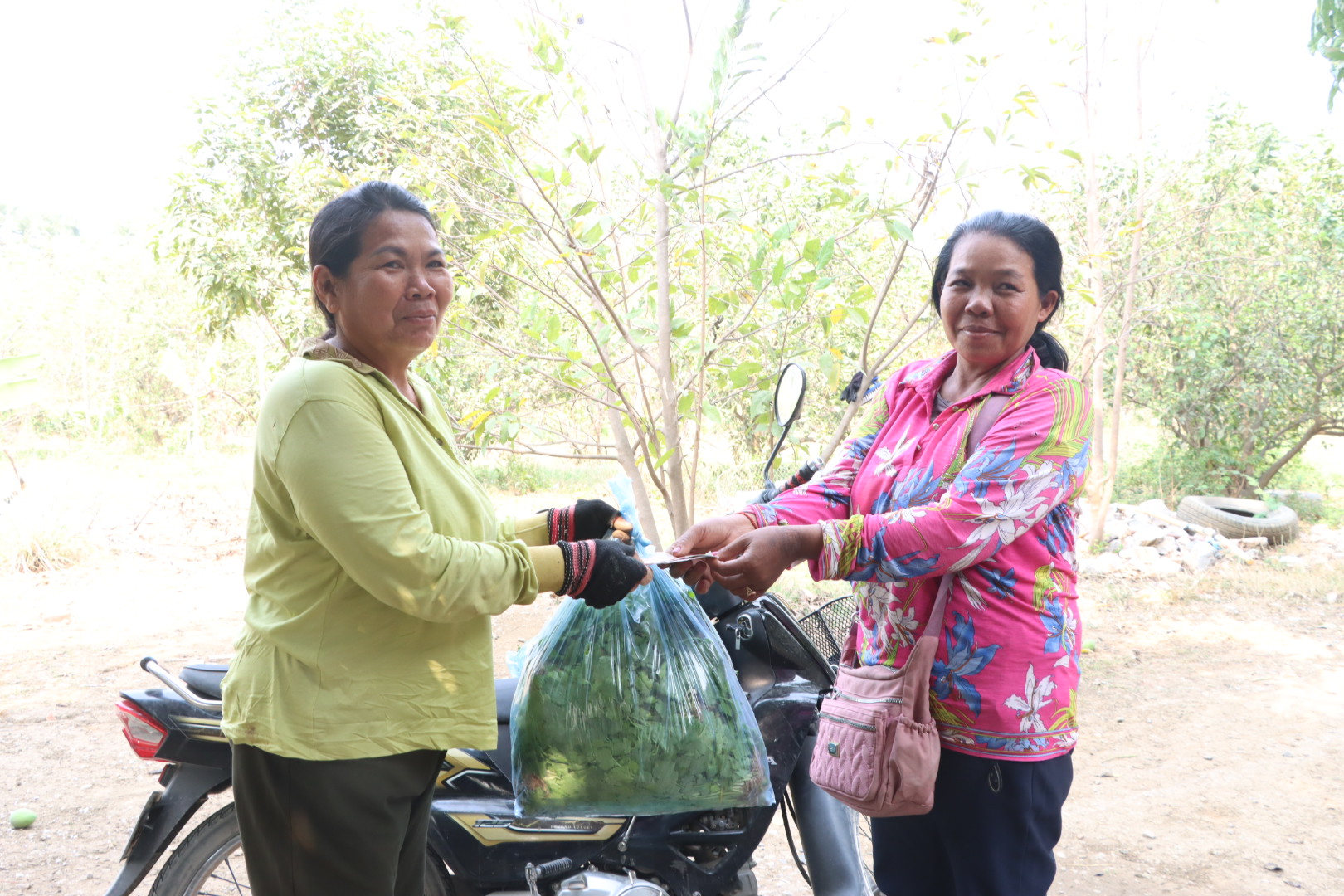 Cambodian farmer smiles as she exchanges a bag of leafy greens for payment from the vegetable collector.