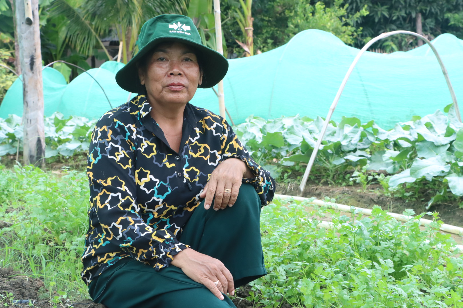 Cambodian woman farmer amid a bed of leafy green vegetables.
