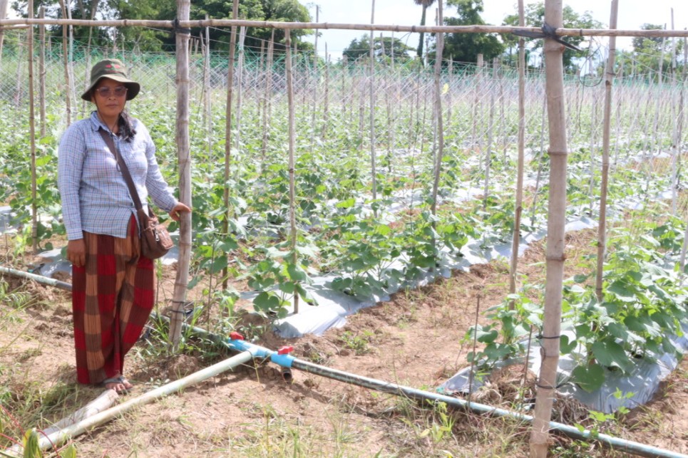 Female farmer next to her vegetable plot.