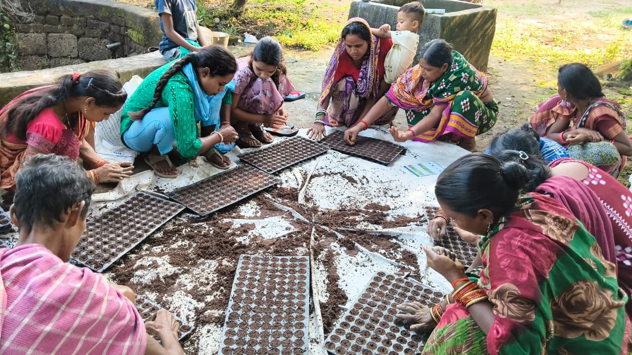 Women and men fill seed trays with soil and sow vegetable seeds.