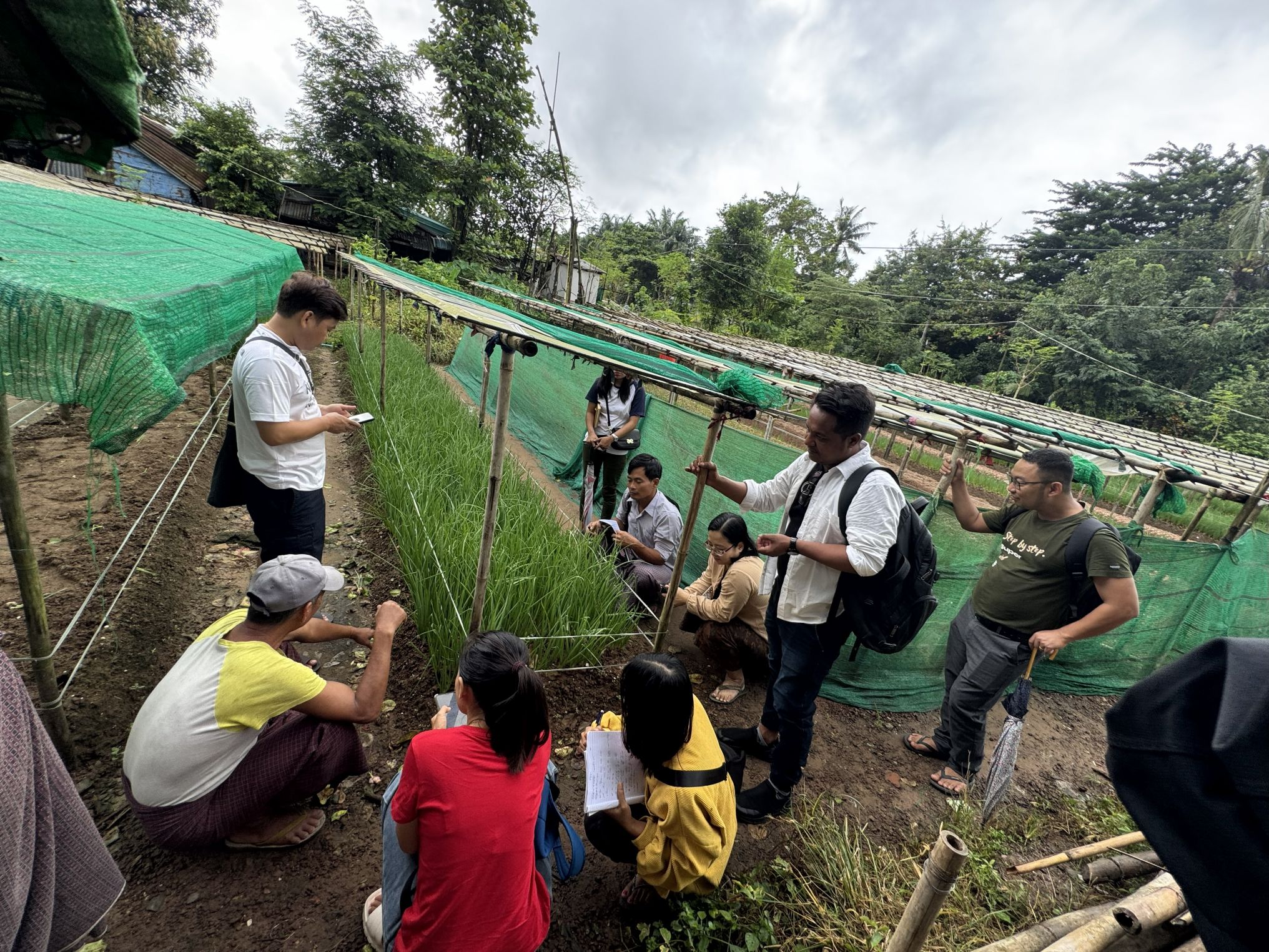 Farmers gather around a row of onion plants during a community training.
