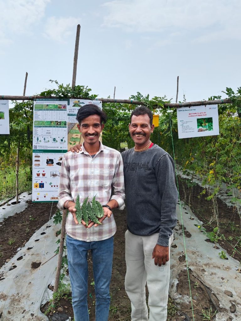 Young farmer Hemraj Singh Sisodiya and his mentor, Hokam Singh, at Hemraj's bitter gourd plot.  