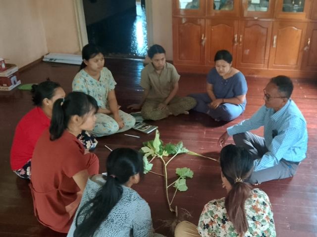 Students at the study farm sit in a circle around a plant they are discussing.