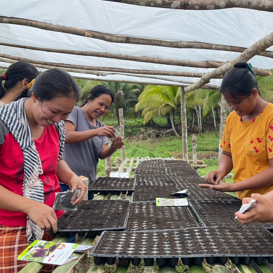 Standing in a covered nursery building, women laugh as they plant eggplant seeds in seedling trays.