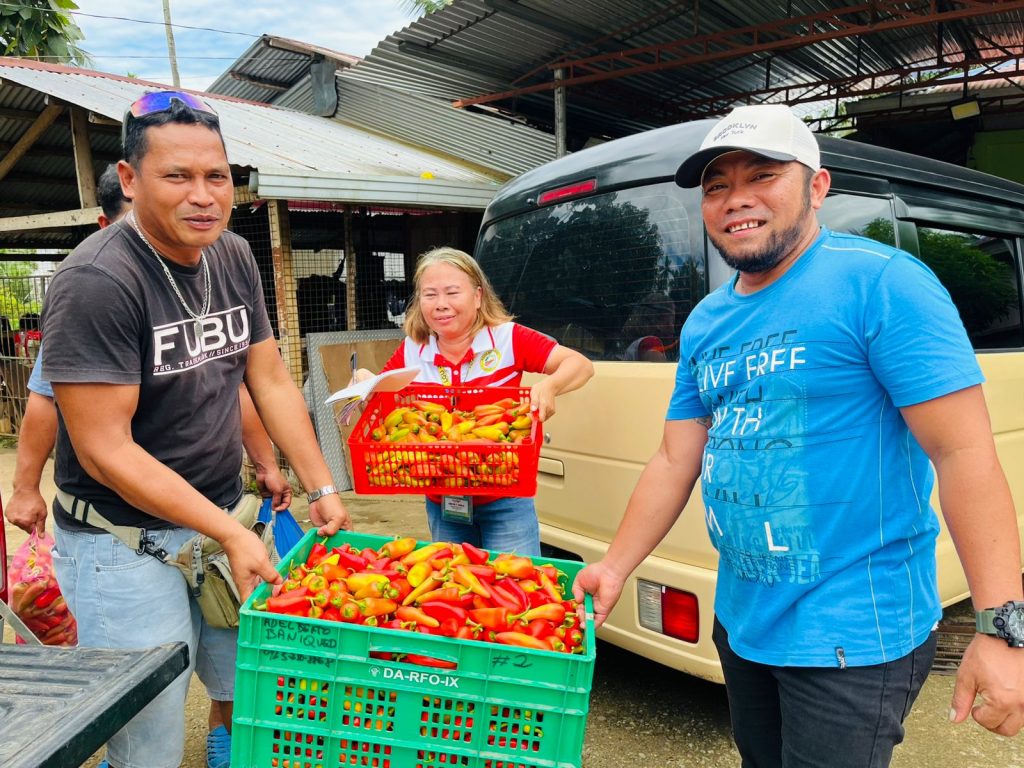 Farmers carry crates of peppers to deliver to a vegetable consolidator.