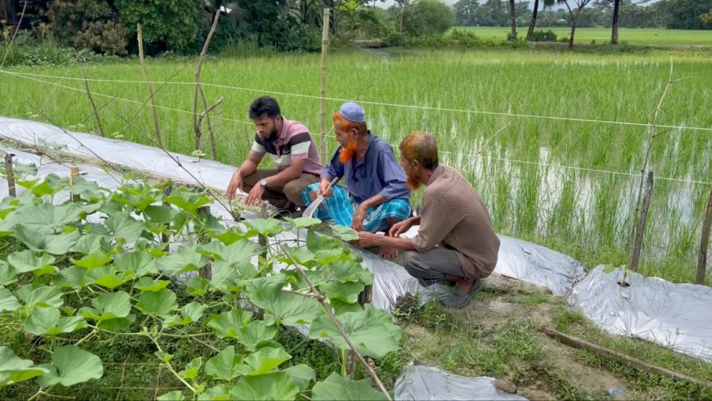Bangladeshi farmer Abul Kalam and two other men with his rice field behind them and his vegetable field in front of them.