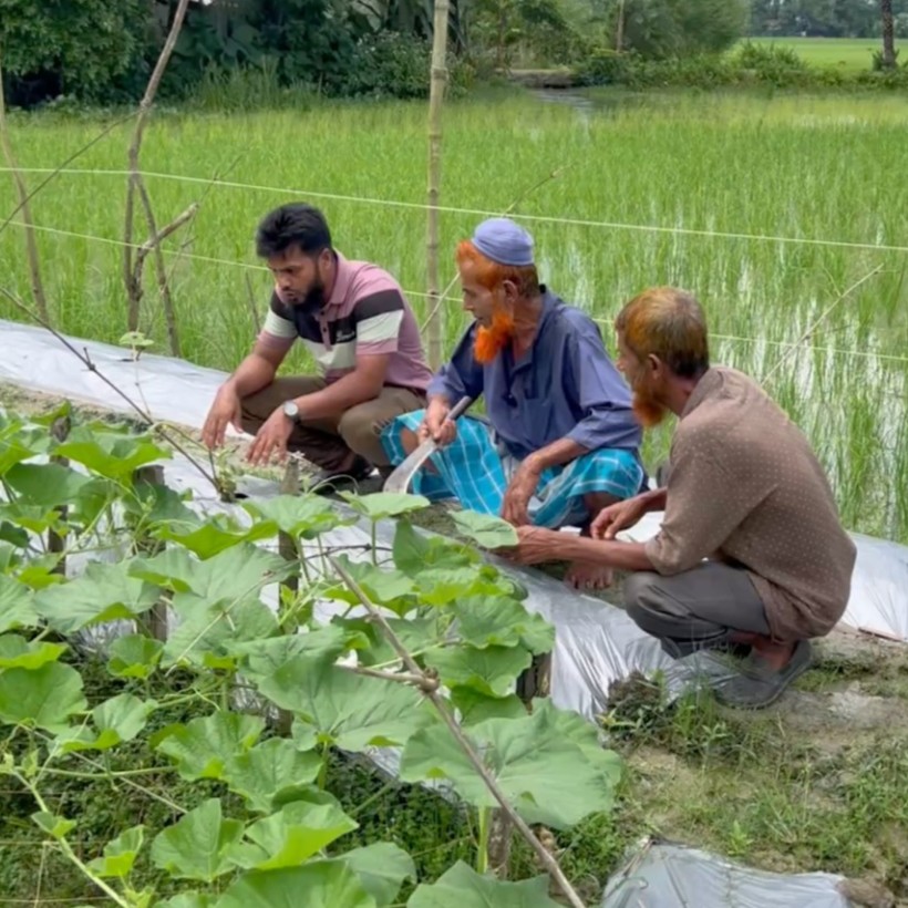 Bangladeshi farmer Abul Kalam and two other men with his rice field behind them and his vegetable field in front of them.