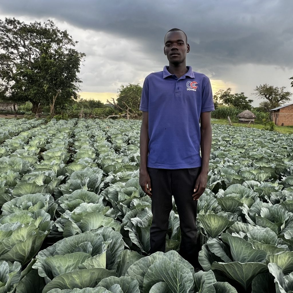 Young farmer Walter Okello in his large cabbage field.