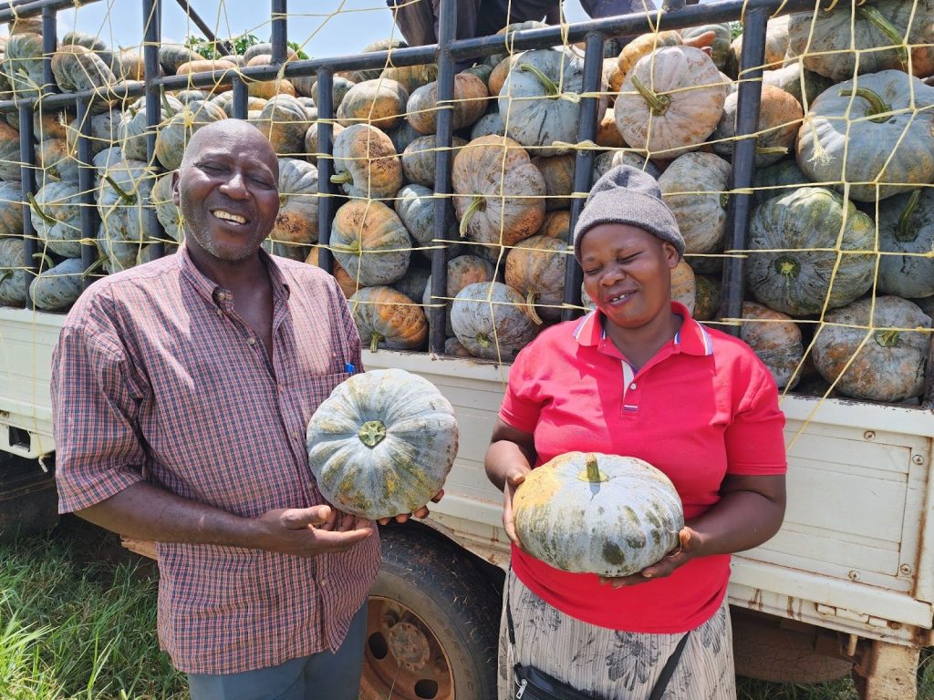 Ugandan man and woman hold pumpkins in front of a truck loaded with pumpkins.