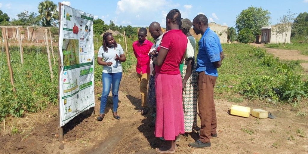 Standing in front of a large crop guide poster at the edge of a farmer's field, a Technical Field Officer from East-West Seed Knowledge Transfer Foundation holds a training session for a group of farmers.