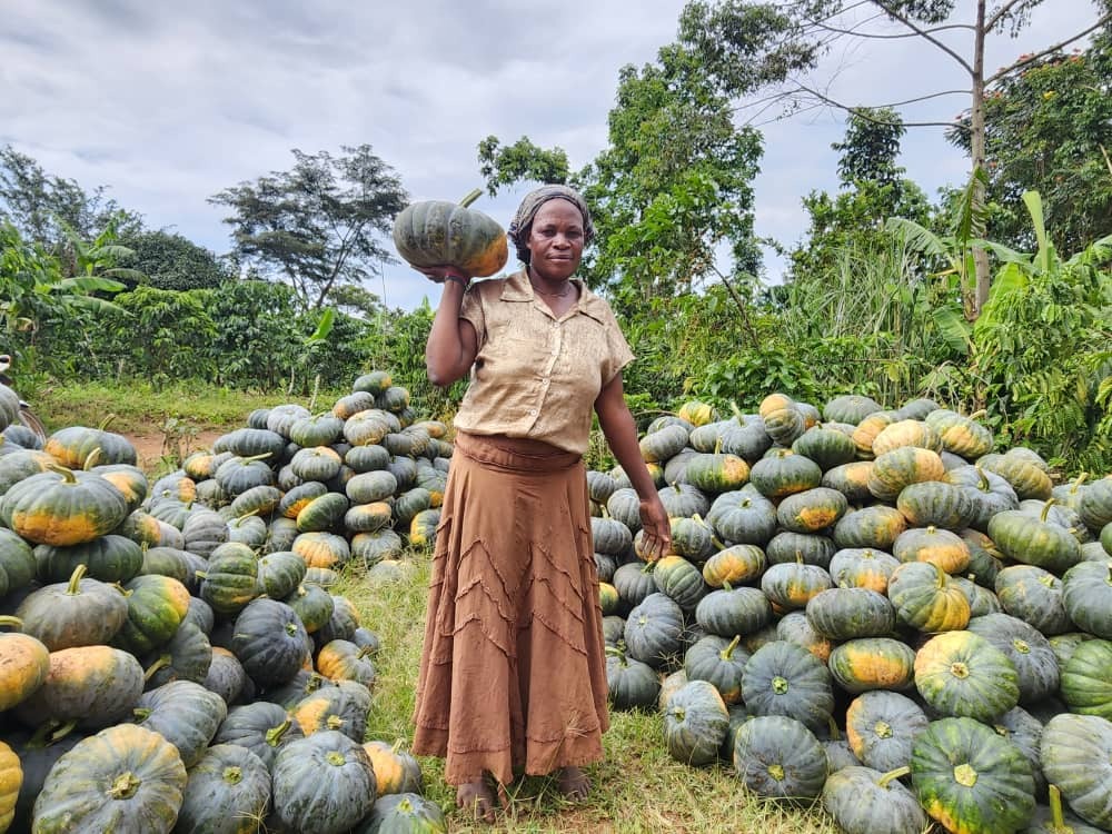 Ugandan female farmer holds a pumpkin aloft as she stands amid three large piles of pumpkins.