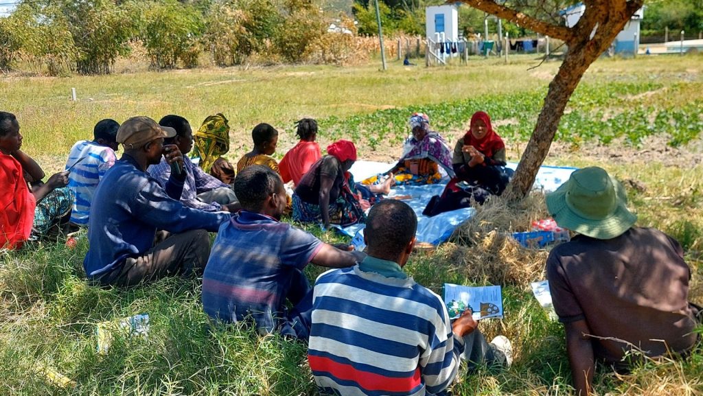 Technical Field Officer teaches a group of farmers about phosphorus deficiency in tomato plants.