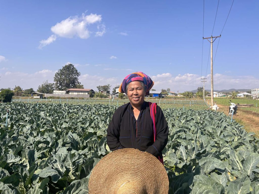 Myanmar farmer Daw Nang Saw Kyi in her field.