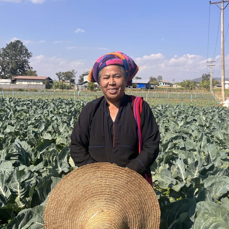 Myanmar farmer Daw Nang Saw Kyi in her field.