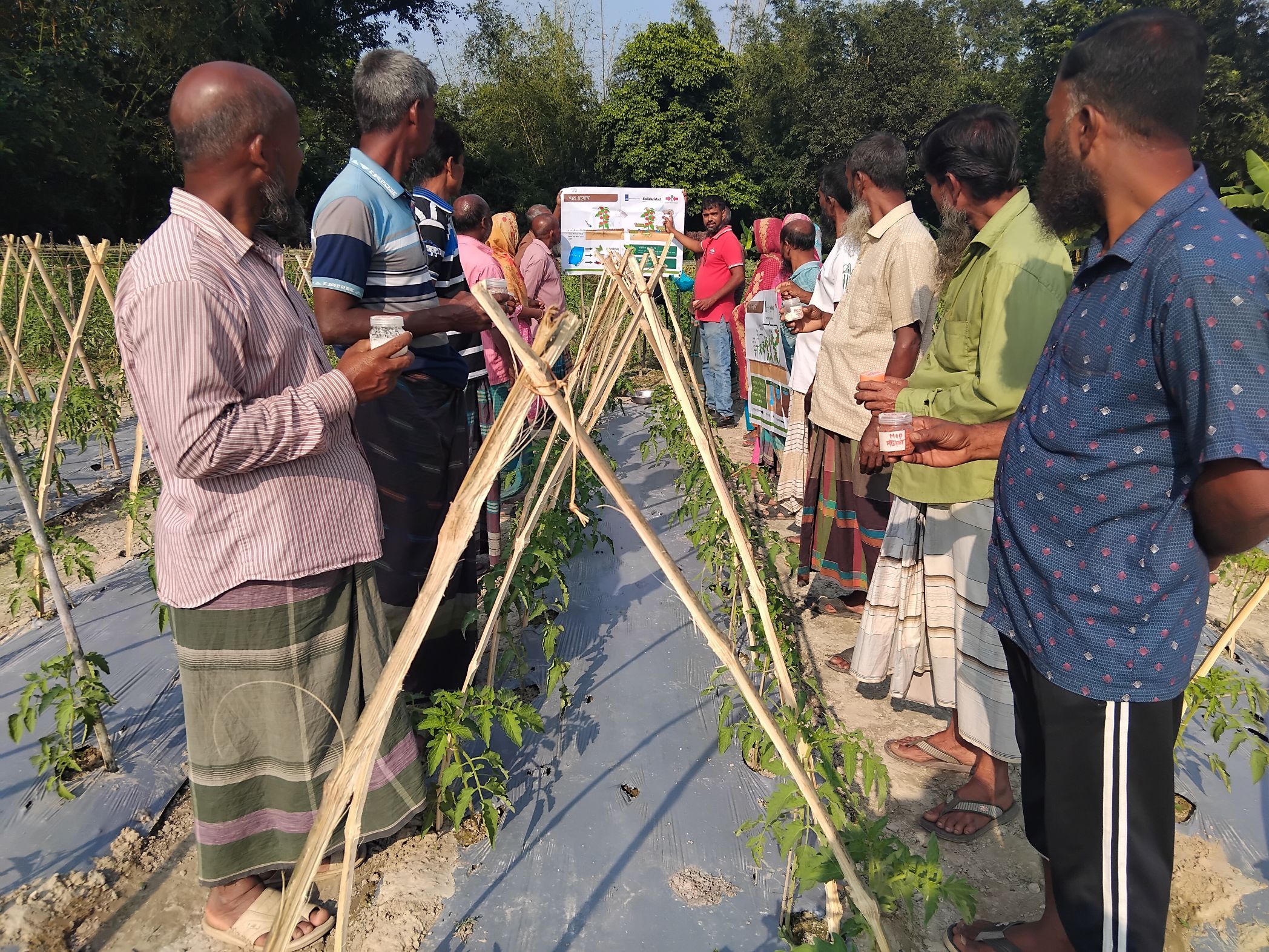 Farmers on either side of planted row listen during a training on fertilizer application.