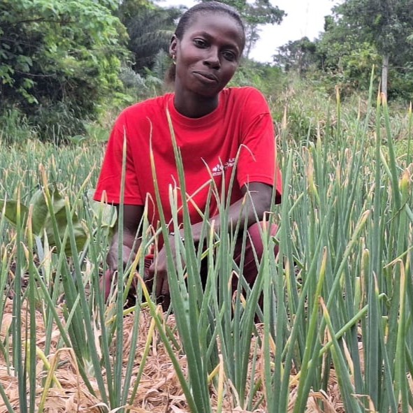 Ghanaian farmer Beatrice Amponsah in her onion field.