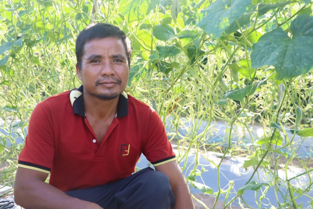 Cambodia farmer Lont Thou in his cucumber field.