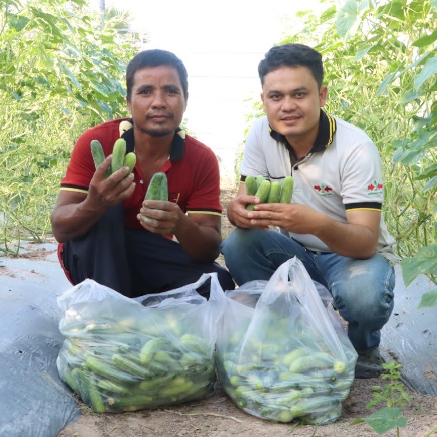 Farmer Long Thou and EWS-KT Technical Field Officer Phalla Yoeurm hold some of the cucumbers they have harvested, with two bags of cucumbers on the ground in front of them.