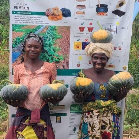 Ugandan pumpkin farmer Odeta Dukizmana poses with another women in front of an EWS-KT banner on pumpkin farming. In front of them are a pile of pumpkins.