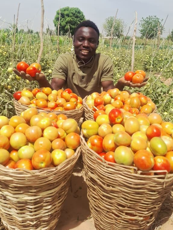 Young Nigerian farmer Tukur Hamisu smiles as he poses next to 4 baskets of harvested tomatoes.