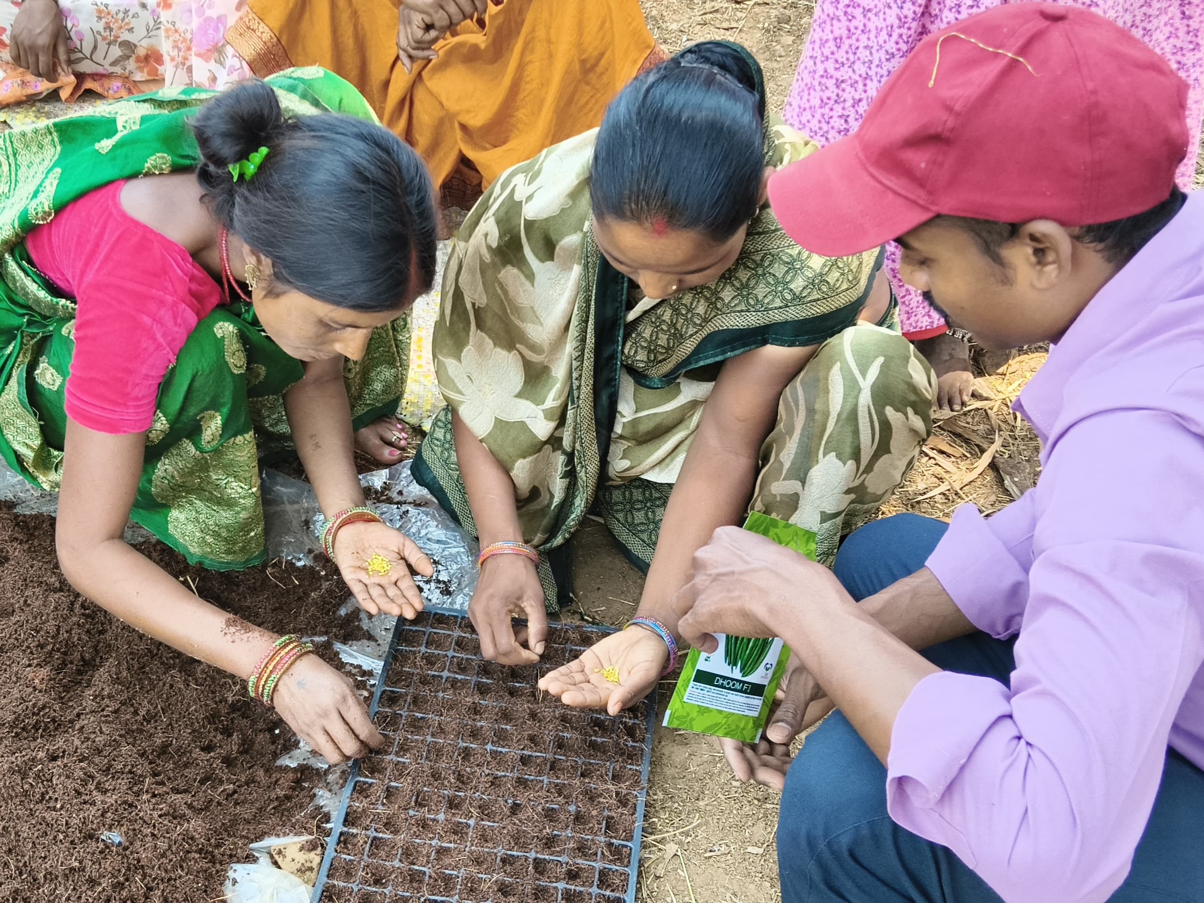 Guided by a staff member from East-West Seed Knowledge Transfer Foundation, smallholder female farmers in Chhattisgarh, India, plant hot pepper seeds in a prepared seedling tray.