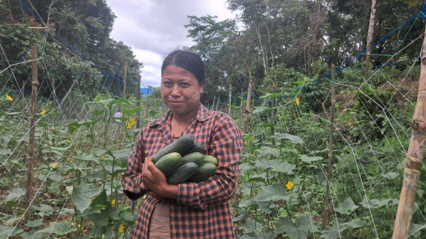 Farmer Daw Aye Aye Myaing holds an armful of cucumbers at her farm in Myanmar.