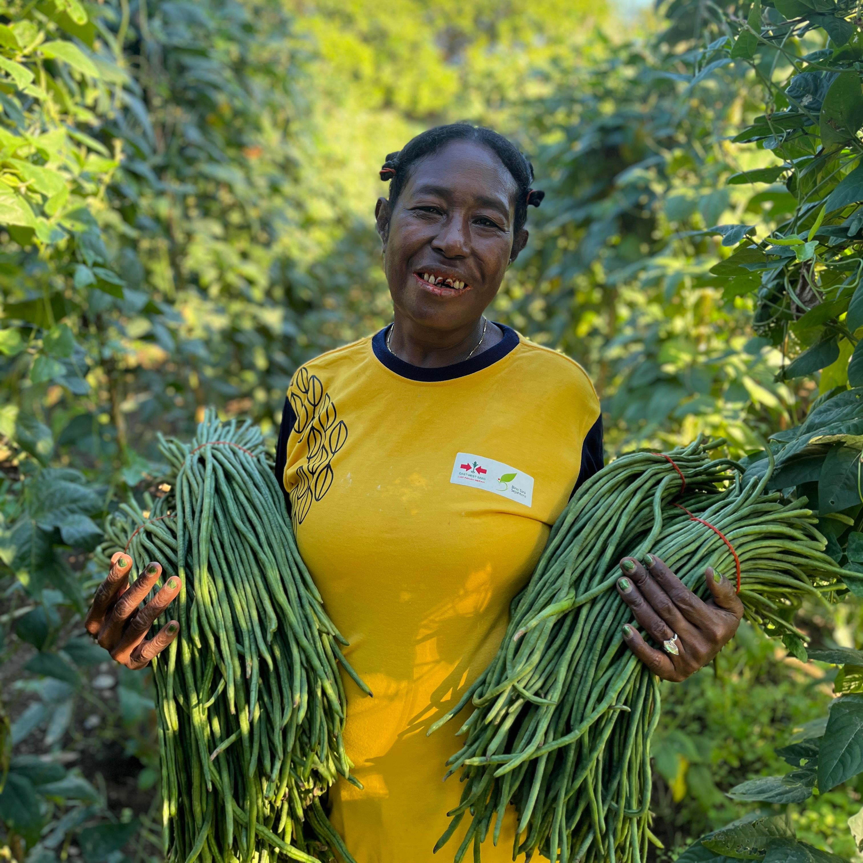 Indonesian farmer Elisabet Fakdewer with armfuls of yard long beans.