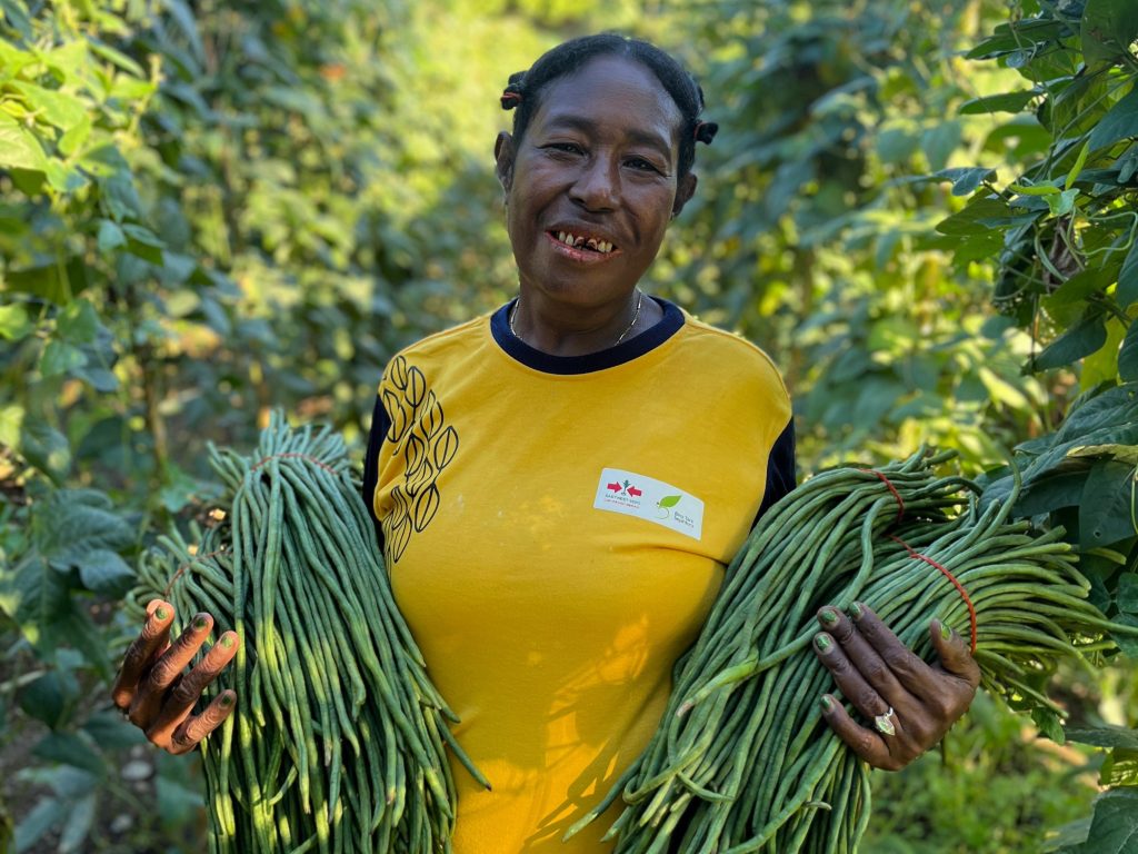 Indonesian farmer Elisabet Fakdewer with armfuls of yard long beans.