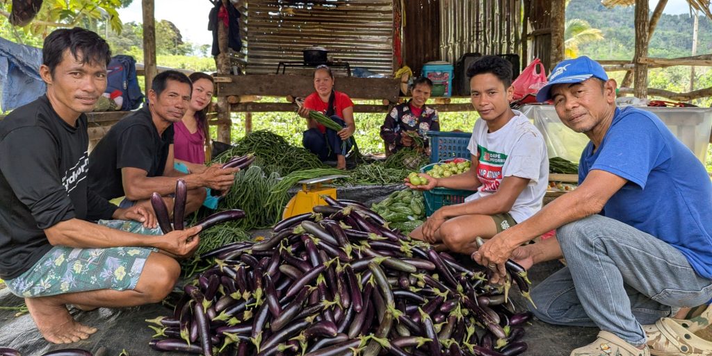 A group of male and female farmers sort vegetables in the Philippines.