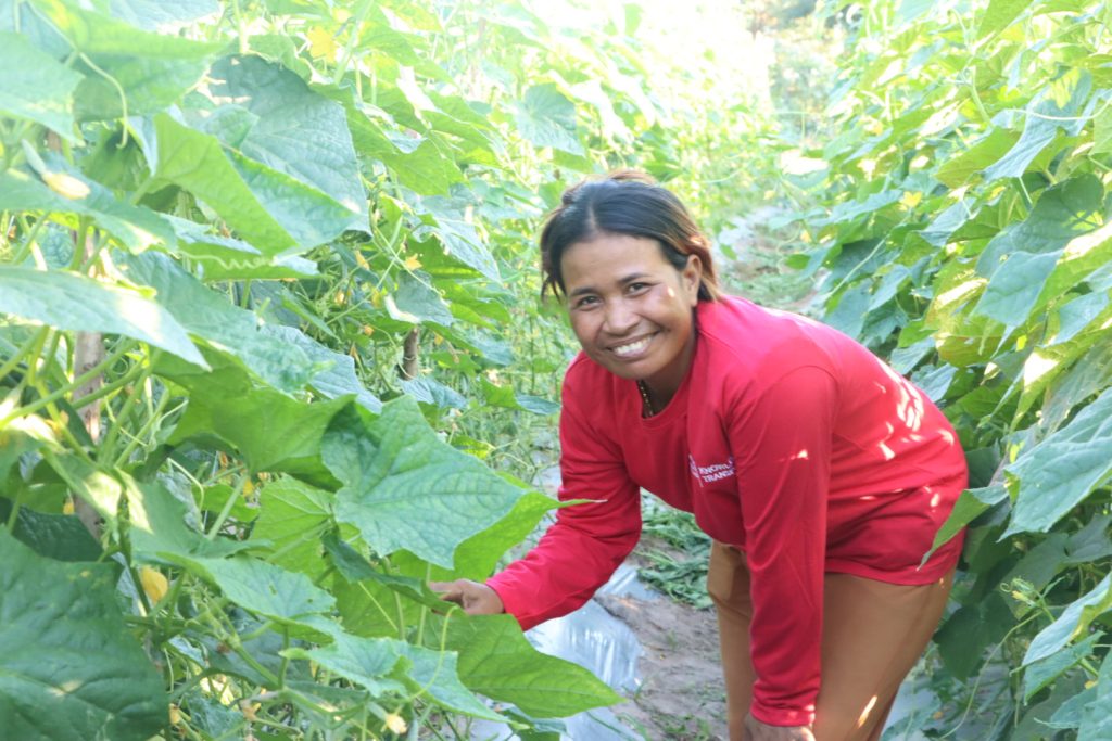Cambodian farmer Sot Koem Lang between her cucumber rows.